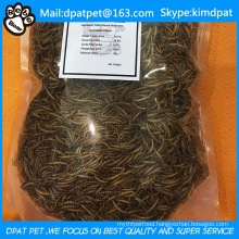 Lower Price High Quality Dried Mealworms Pet Food Chicken Feed Birds Food